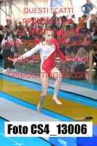 CS4_13006-