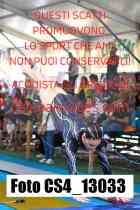 CS4_13033-