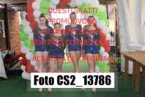 CS2_13786-