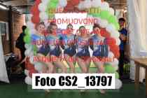 CS2_13797-