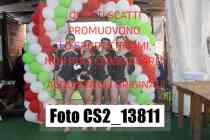 CS2_13811-