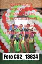 CS2_13824-