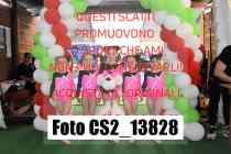 CS2_13828-