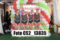 CS2_13835-