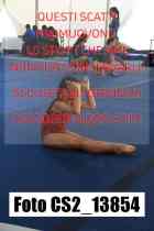 CS2_13854-