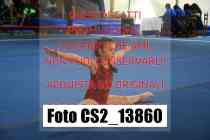 CS2_13860-