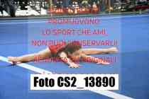 CS2_13890-
