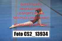 CS2_13934-