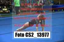 CS2_13977-