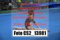 CS2_13981-