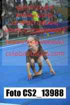 CS2_13988-