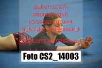 CS2_14003-