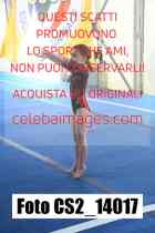 CS2_14017-