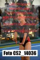 CS2_14036-