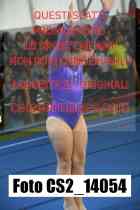 CS2_14054-
