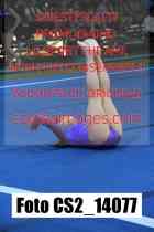 CS2_14077-
