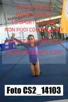 CS2_14103-