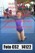 CS2_14122-