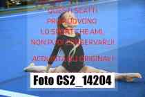 CS2_14204-