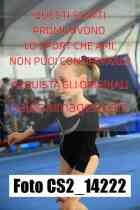 CS2_14222-