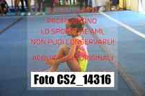 CS2_14316-
