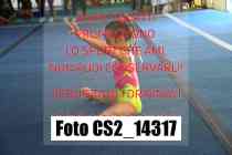 CS2_14317-