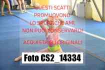 CS2_14334-