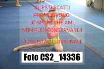 CS2_14336-