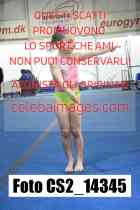 CS2_14345-
