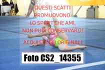 CS2_14355-