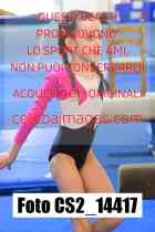 CS2_14417-