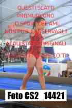 CS2_14421-