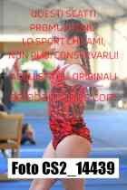 CS2_14439-