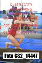 CS2_14447-