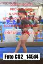 CS2_14514-