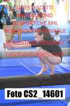 CS2_14601-