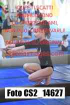 CS2_14627-