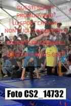CS2_14732-