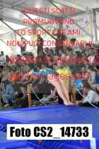CS2_14733-