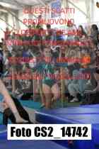 CS2_14742-