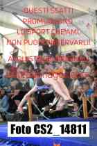 CS2_14811-