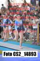 CS2_14893-