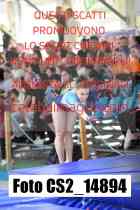 CS2_14894-