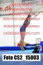 CS2_15003-