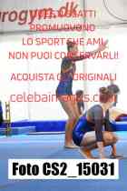 CS2_15031-