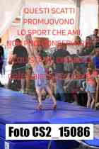 CS2_15086-