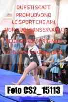 CS2_15113-
