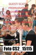 CS2_15115-