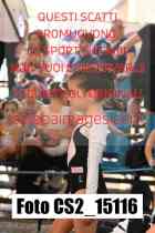 CS2_15116-