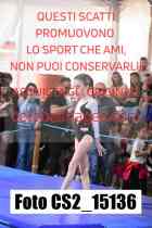 CS2_15136-